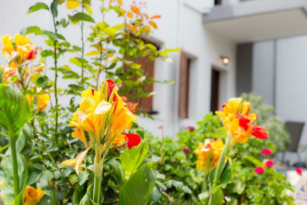 Stellar Apartments I ปลาเตเนียส ภายนอก รูปภาพ